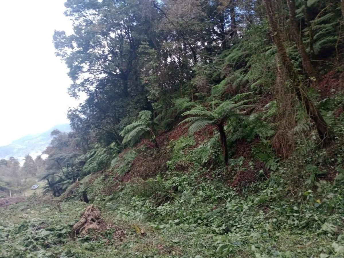 Alistan jardín para difundir riqueza biológica en Tenango 