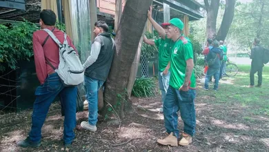 Aficionados observan el partido de México