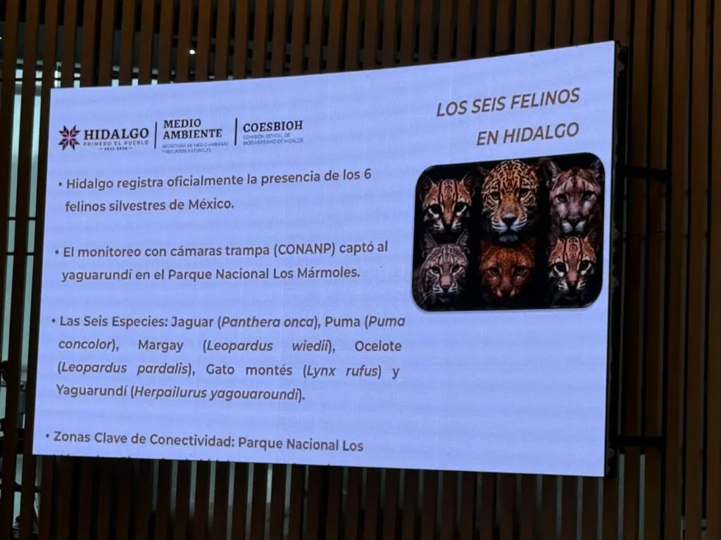 Hidalgo fortalece conservación ambiental con inversión de 17.3 mdp