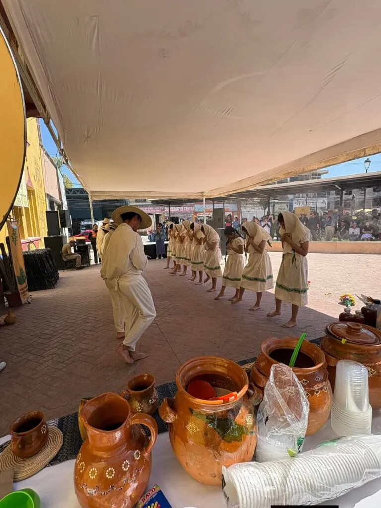 Impulsan conservación del maguey pulquero en Atotonilco