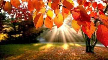 Equinoccio de otoño 2026:  ¿qué cambiará desde este 22 de septiembre?
