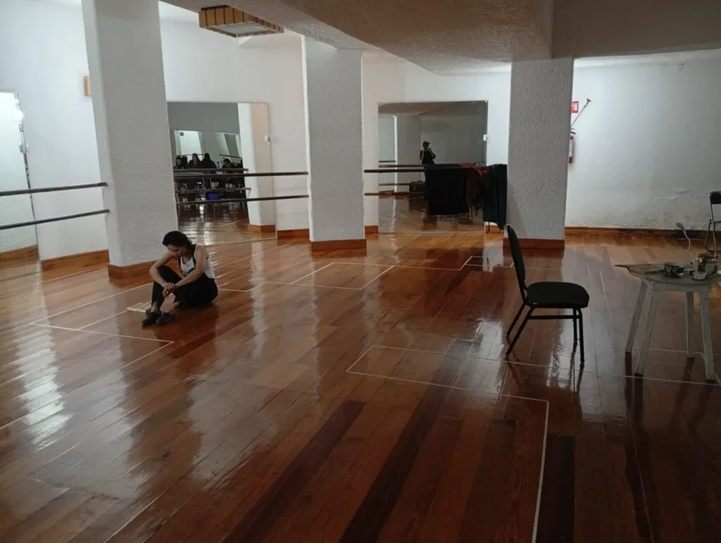 “Orlando-Segunda Habitación”: teatro, literatura e identidad en escena