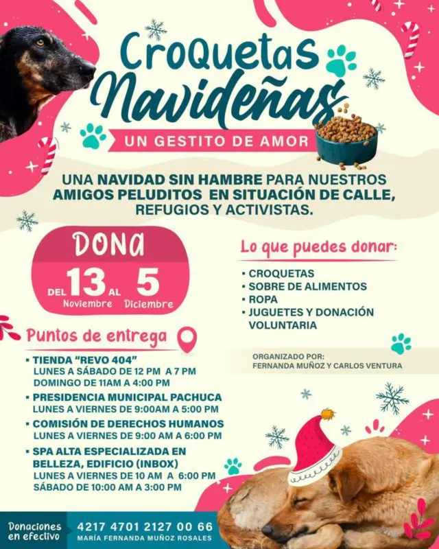 Colecta ‘Croquetas Navideñas’: ayuda a perritos en situación de calle