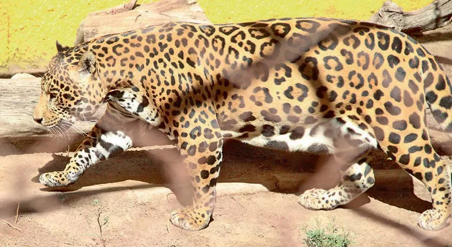 Unidad de Rehabilitación celebra una década