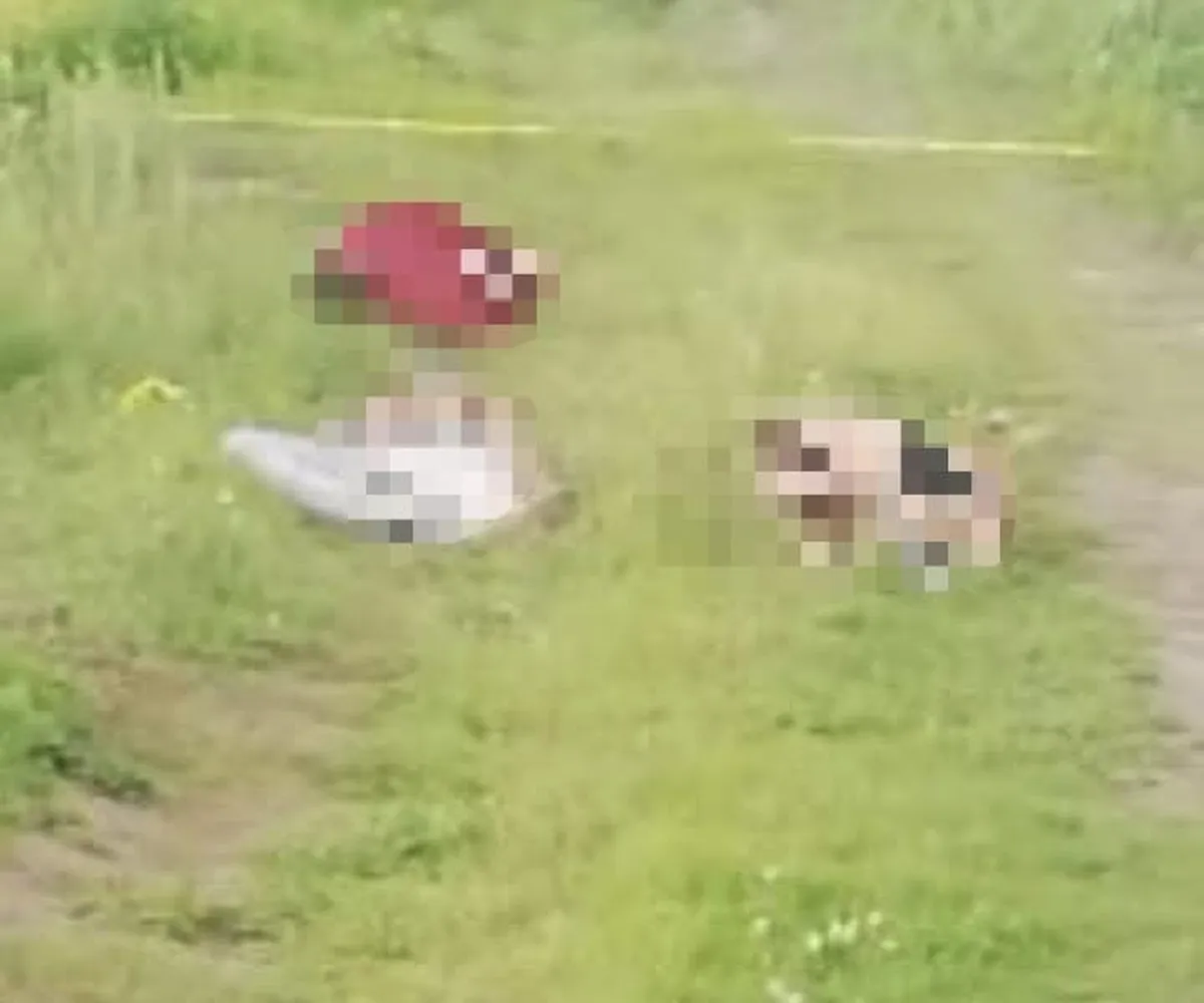 Encuentran a tres ejecutados en Huichapan