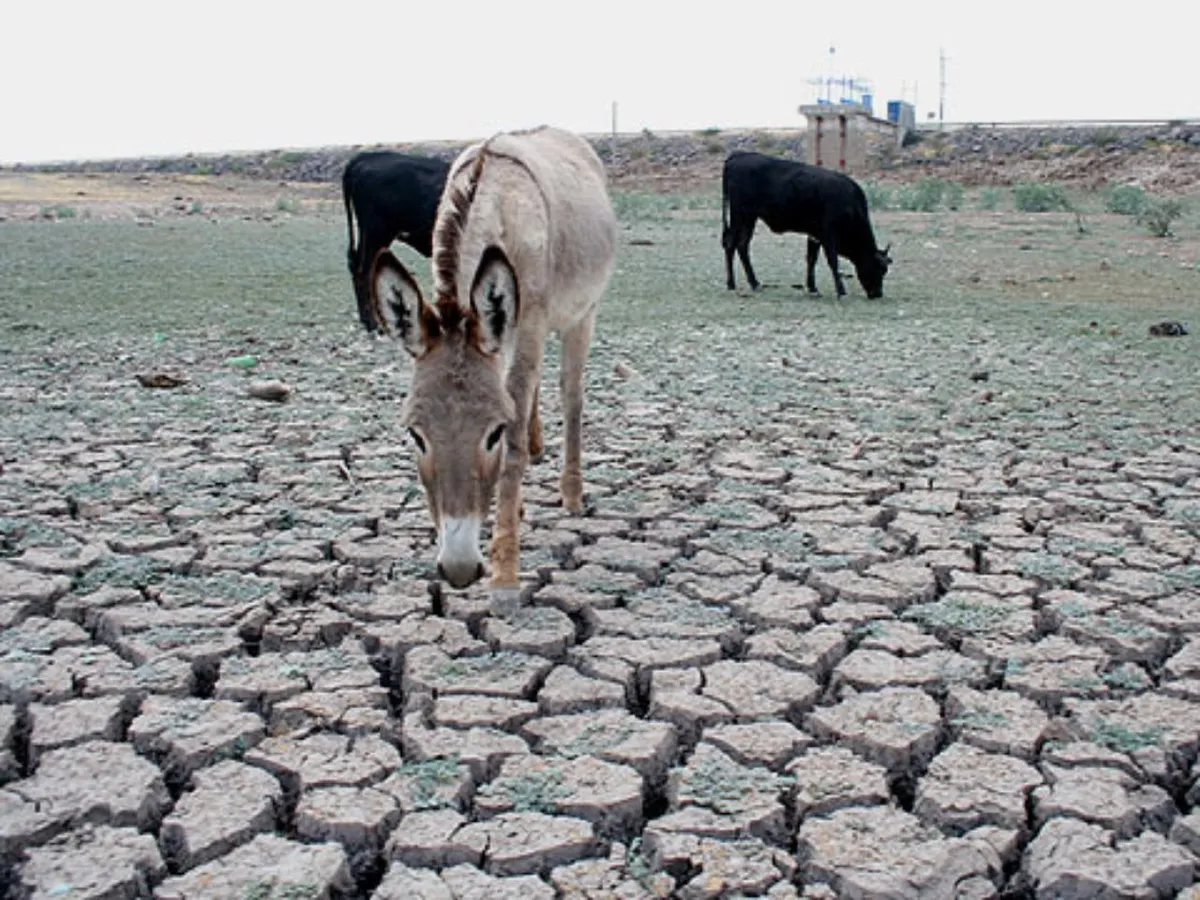 Sequía en México: Conagua declara emergencia