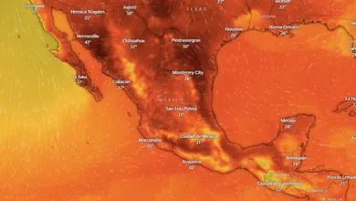 Temperaturas extremas no ceden y esto es lo que está pasando en México