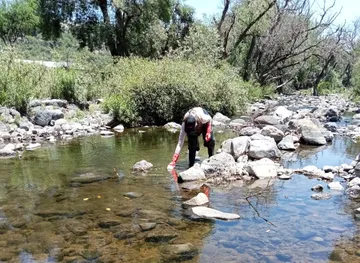 Conagua analiza contaminación en el río Rosas