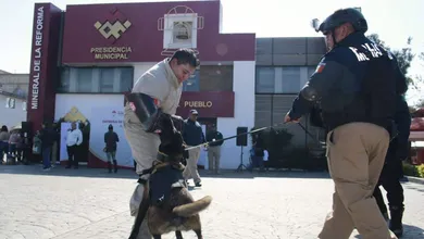 Unidad Canina K9 Mineral de la Reforma