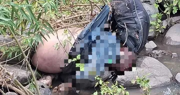 Encuentran cadáver cerca del río Rosas en Tula