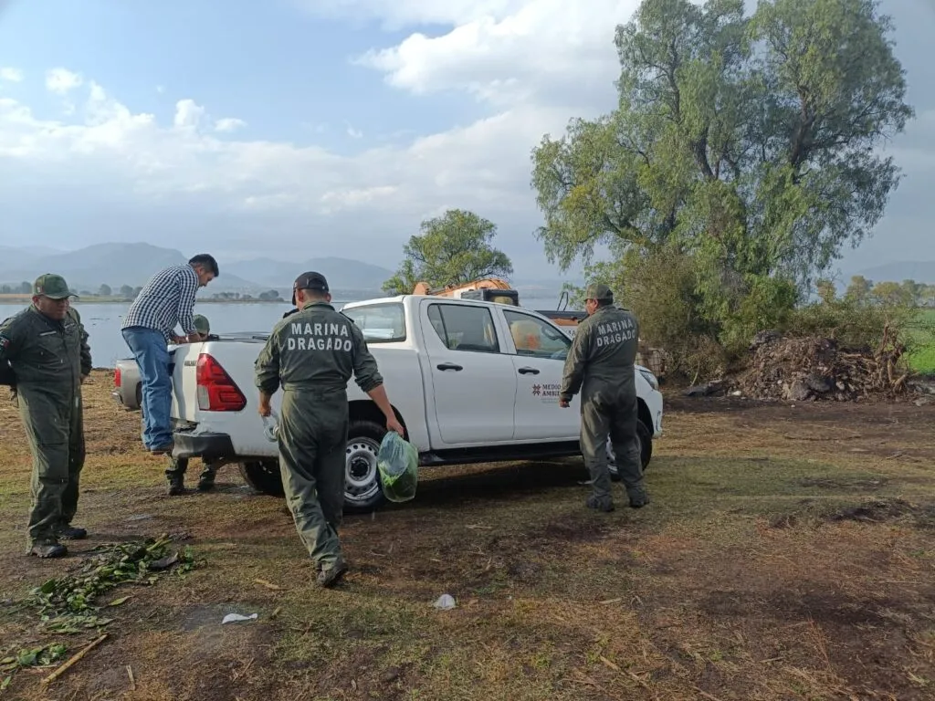 Sacan 7 mil toneladas de lirio de la presa Endhó; no es suficiente 