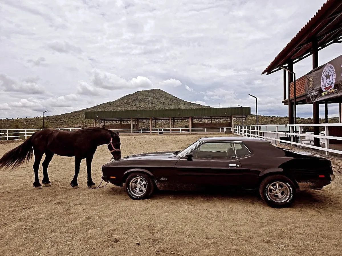Octava Concentración Nacional de Mustang