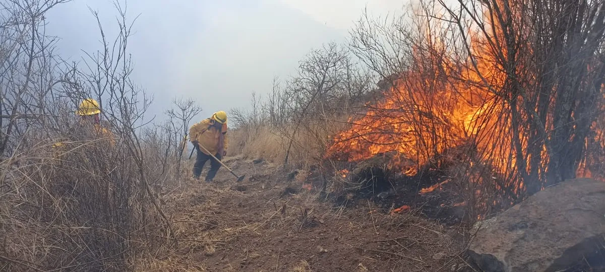 Combaten incendio del cerro de la Campana en Tepeji del Río