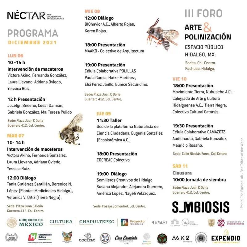 Fronda realiza III Foro Arte & Polinización en espacios públicos