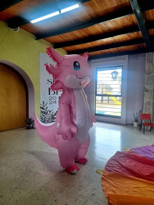 Visita el ajolotario en Pachuca y conoce más sobre esta especie