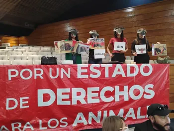 El IEEH aprobó el proyecto de presupuesto para organizar la consulta popular sobre la prohibición de las corridas de toros en Hidalgo