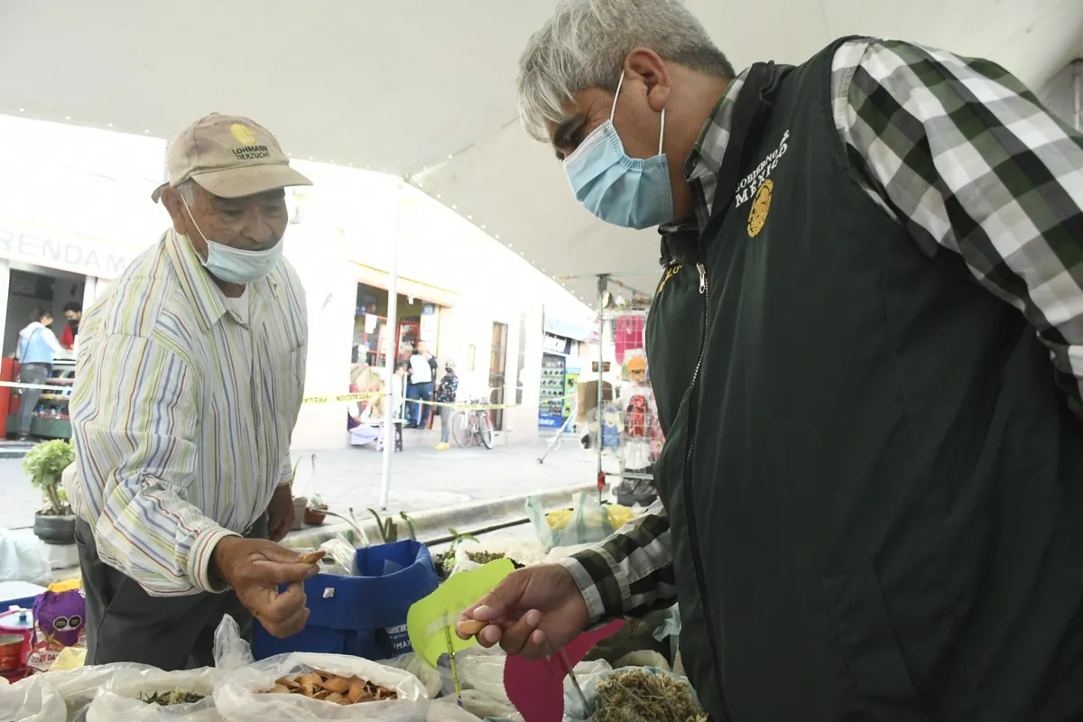 Tandas para el Bienestar: llegan a tres municipios de Hidalgo