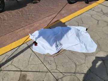 Maltrato animal: turnan caso de perrito ahorcado a PGJEH
