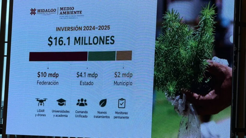 ¡Van por El Chico! Hidalgo invertirá otros 10 millones para salvar su bosque más emblemático
