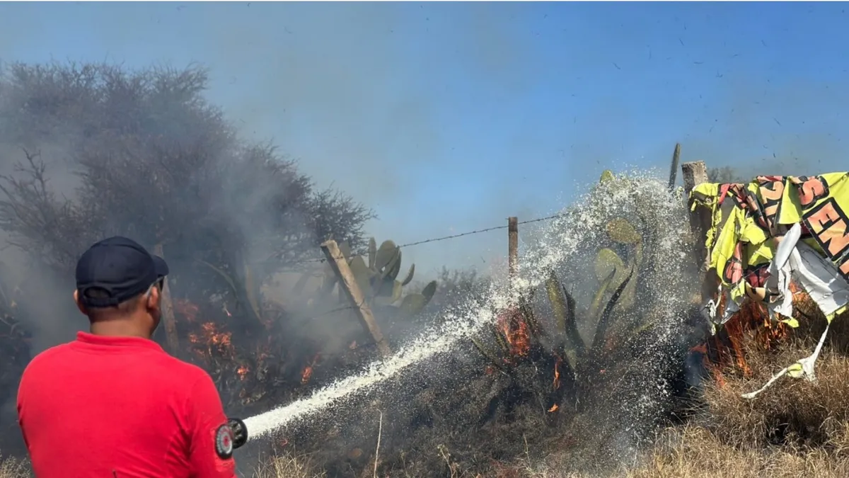 El incendio ocurrió a un costado de la carretera México–Laredo, en El Arenal.