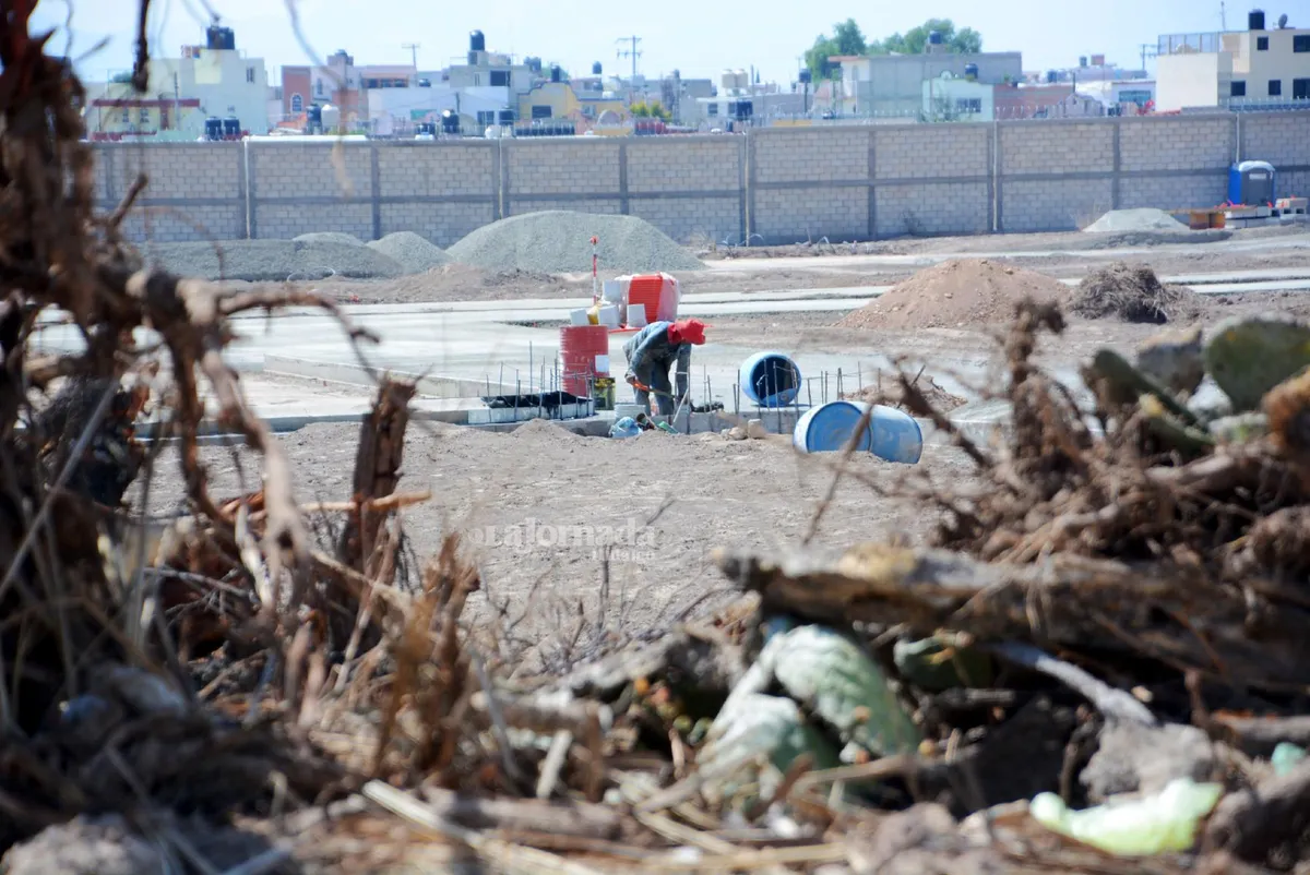 Colocarán áreas verdes en fraccionamiento  donde fueron derribados 34 árboles