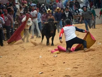 Santiago Tulantepec: Animalistas van contra “santiagada”; anticipan amparo y queja