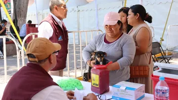 Hidalgo supera 2.5 millones de vacunas antirrábicas y realiza 139 mil esterilizaciones