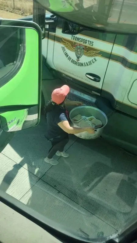 Bloqueo en la autopista Arco Norte: la mujer que llevó comida y agua a los camioneros