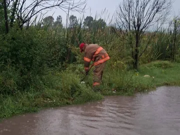Fuerte lluvia golpea San Salvador: árboles caídos y calles anegadas movilizan a cuerpos de emergencia