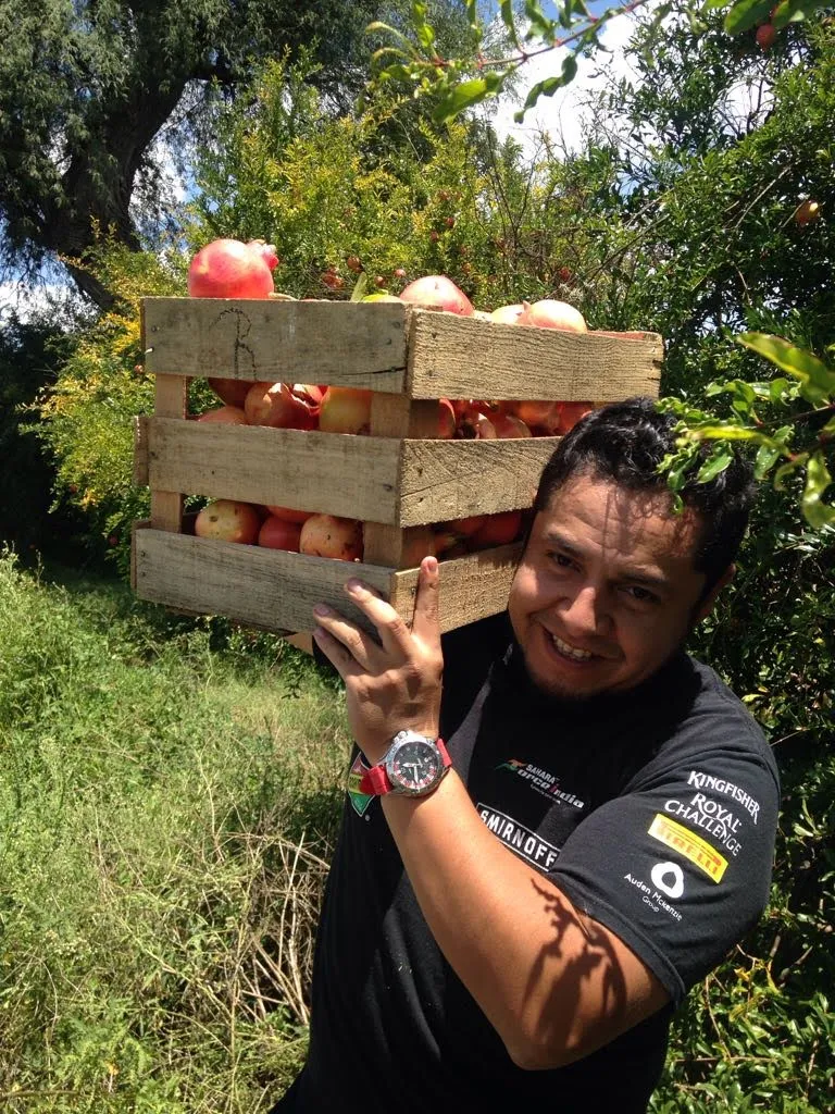 Investigadores logran patente para mitigar dolor con granada  