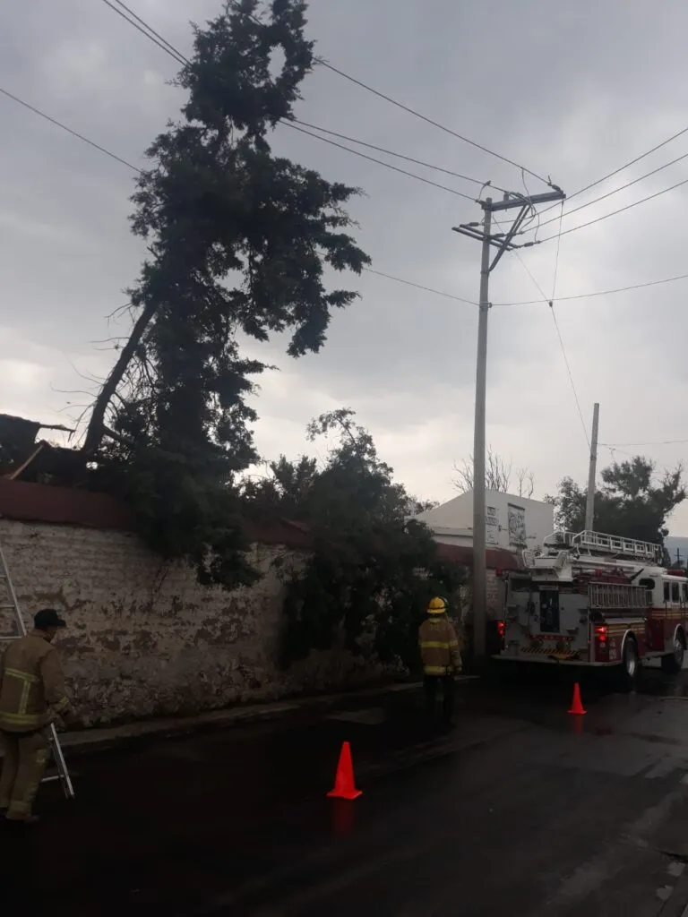 Lluvias provocan caída de árboles, encharcamientos e incendio en Tulancingo