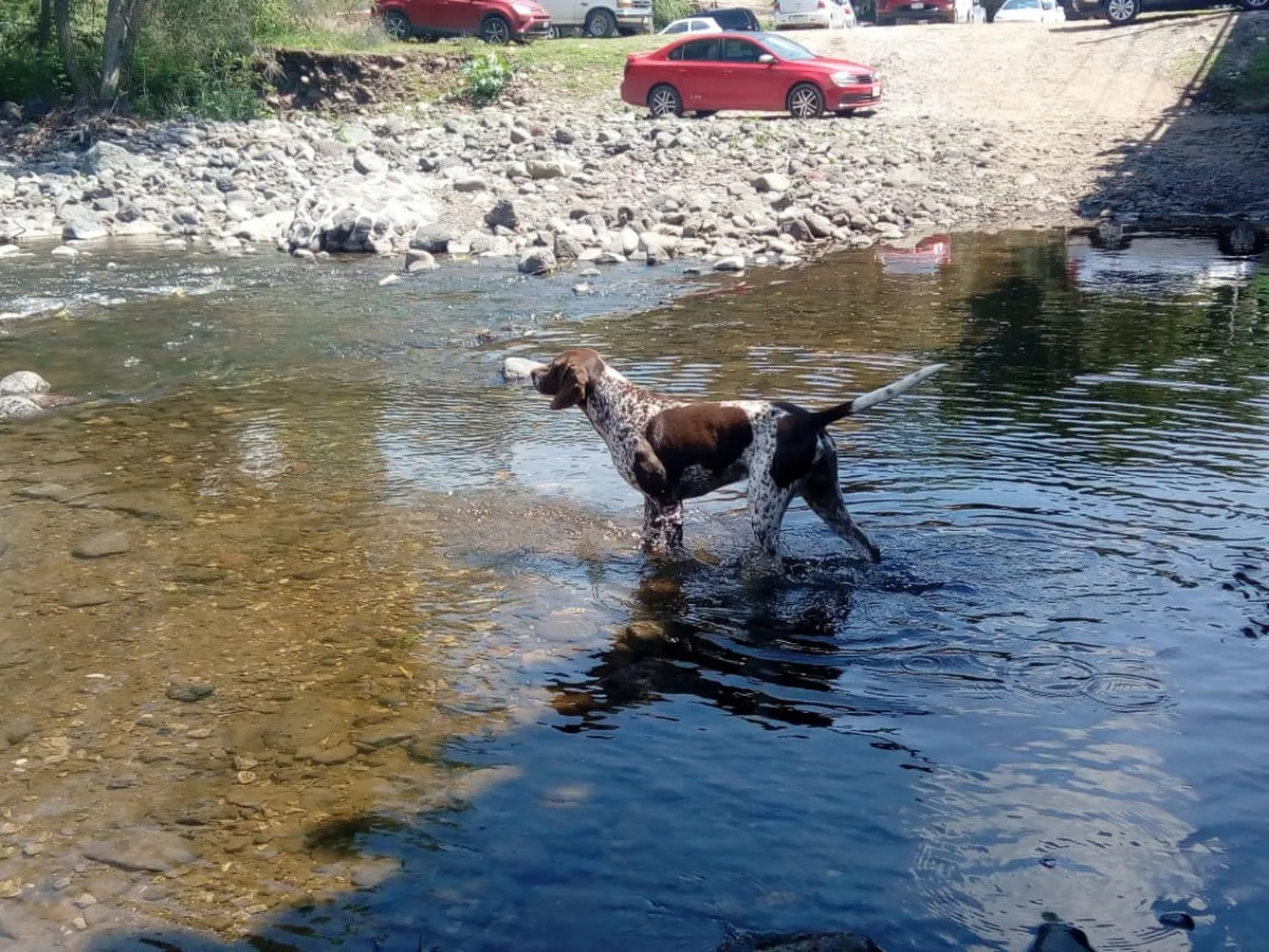 En Tula proponen convertir el río Rosas en espacio turístico