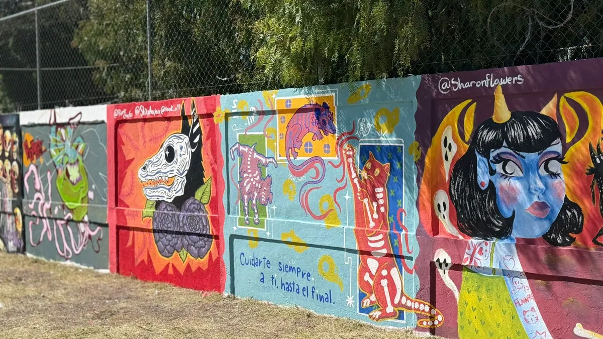 Más de 50 murales ya forman parte del paisaje urbano de Pachuca y el proyecto aún sigue creciendo.