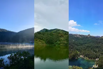 Vacaciones en Hidalgo: tres bosques que debes conocer