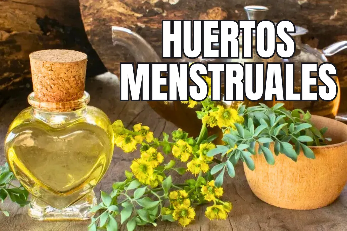¿Qué son los huertos menstruales y en qué municipio de Hidalgo se instalaron? Te contamos