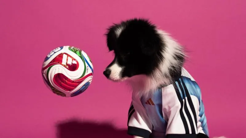 Adidas lanza jerseys para mascotas inspirados en el Mundial 2026