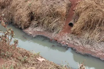 Aguas residuales ahogan a ejido Jaltepec en Tulancingo 