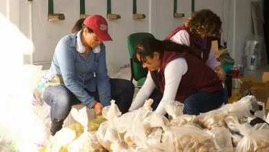 Un gesto que inspira: productor de Metztitlán dona 15 toneladas de papa para quienes lo perdieron todo por las lluvias.