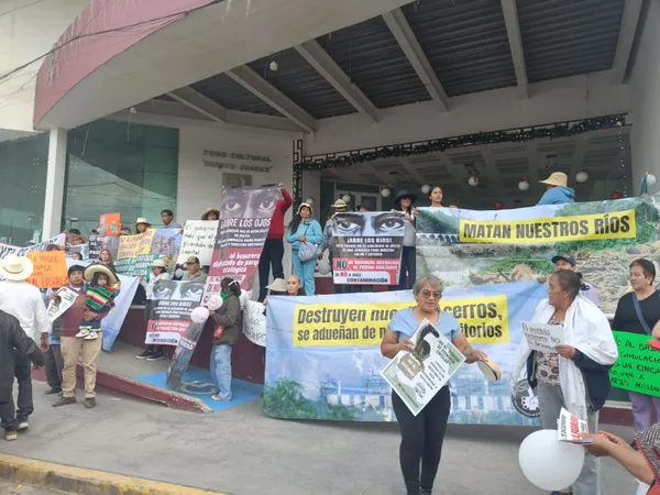Colectivos ambientalistas