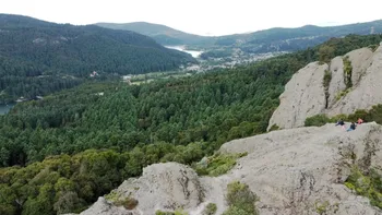 Buscan salvar bosques de Hidalgo con créditos de carbono