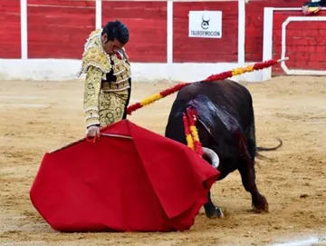 ¿Se prohibirán las corridas de toros en Hidalgo? Esto dice Semarnath