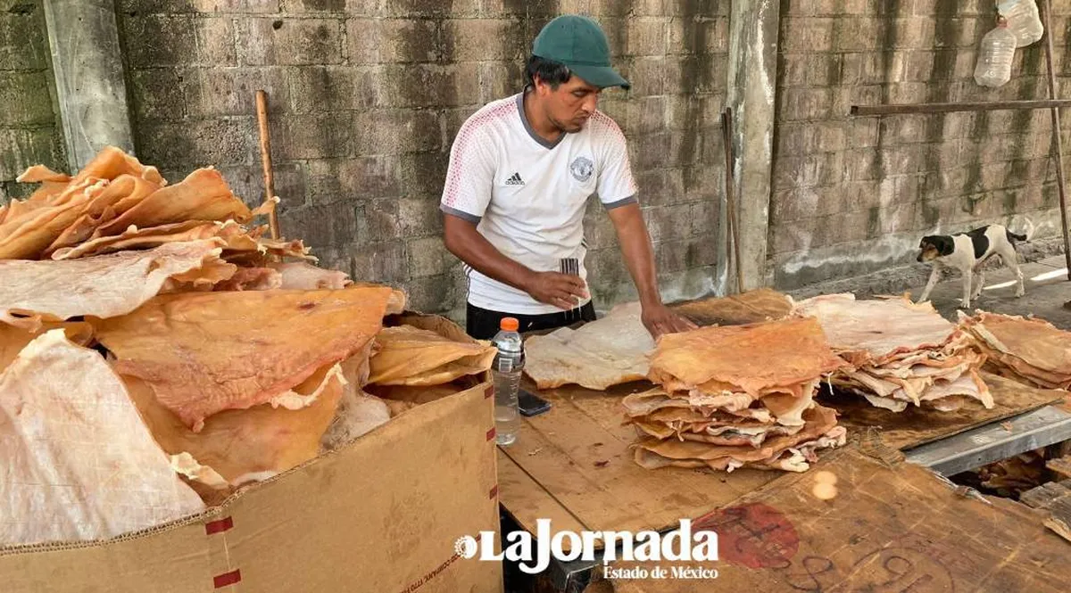 Oxtotipac, único productor de chicharrón en el Valle de México
