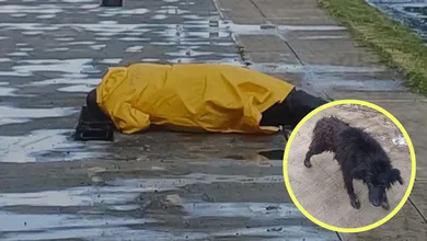 Bomberos rescatan a dos perritos atrapados en una alcantarilla en Tizayuca.
