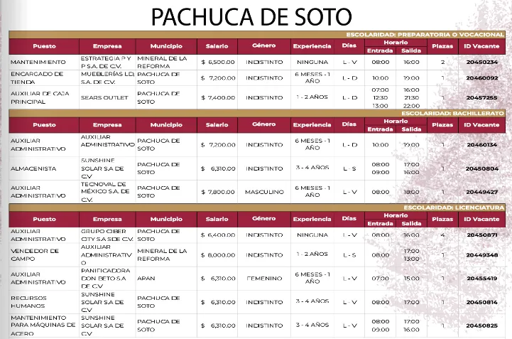 ¿Buscas empleo en Hidalgo? Estas son las ofertas que no puedes dejar pasar