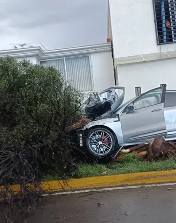 ¿Qué ocurrió en el bulevar Río de las Avenidas? Exsenador choca contra árboles