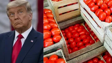 El presidente Donald Trump prepara un nuevo arancel del 20.91 por ciento contra el jitomate mexicano.