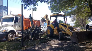 Acusan retiro de magueyes en Tulancingo