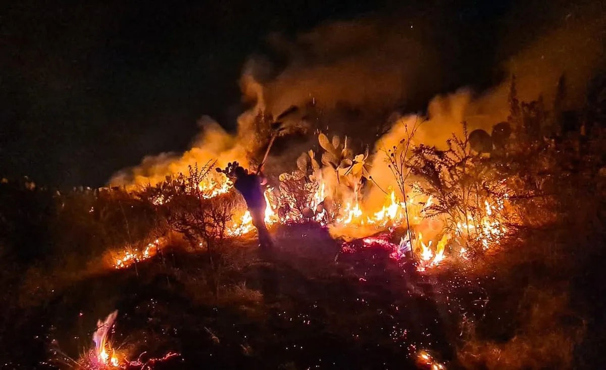 Un incendio en Tula de Allende fue sofocado a tiempo por bomberos locales.