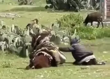 Hombre golpea a burro en Emiliano Zapata