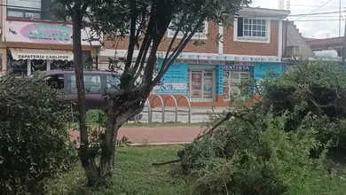 Denuncian ecocidio en Cuautepec